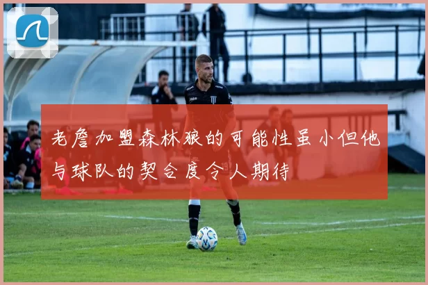 老詹加盟森林狼的可能性虽小但他与球队的契合度令人期待