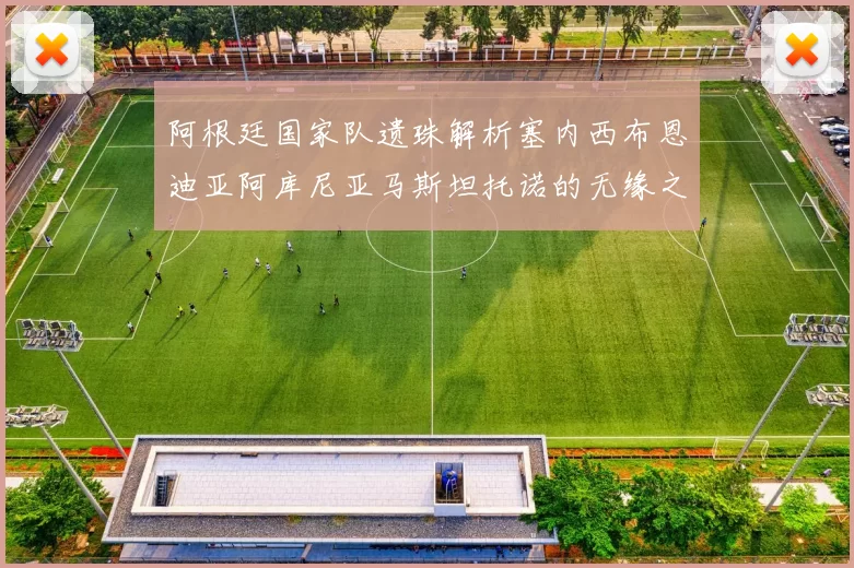 阿根廷国家队遗珠解析塞内西布恩迪亚阿库尼亚马斯坦托诺的无缘之路